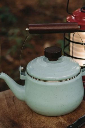 Enamel Teapot Green